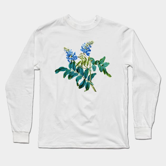 Galega Antique Botanical Flower Art Long Sleeve T-Shirt by AntiqueImages